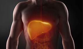 Regeneracja wątroby