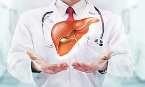 Model wątroby