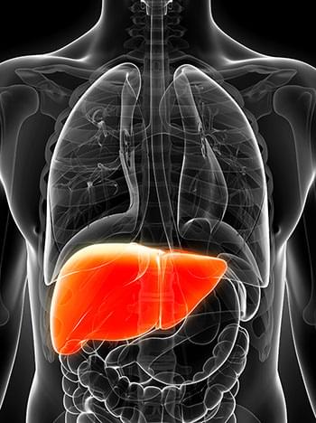 Co szkodzi wątrobie