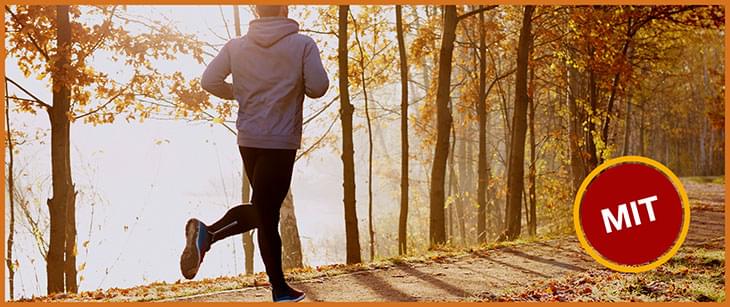 MIT: Przy schorzeniach wątroby wystarczy stosować tabletki „na wątrobę”.